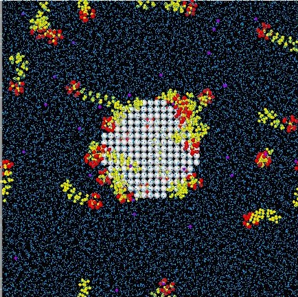 nanoparticles
